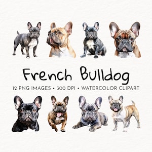 Cão Bulldog Francês | Conjunto de clipart aquarela | Cachorro PNG | Ilustração Animal | Uso comercial gratuito