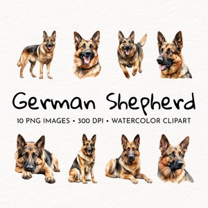 Deutscher Schäferhund | Aquarell Clipart Set | Hund PNG | Tier Illustration | Kostenlose kommerzielle Nutzung