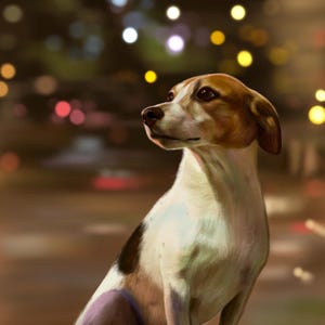 May include: A brown and white dog with a black spot on its side sits looking up, with a blurred background of city lights.