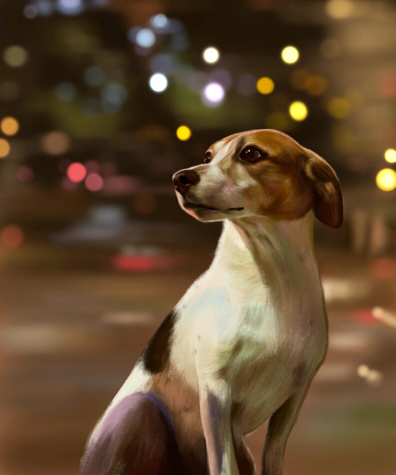 May include: A brown and white dog with a black spot on its side sits looking up, with a blurred background of city lights.