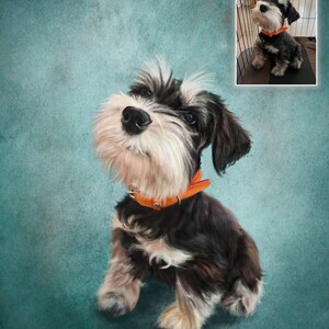 May include: A black and white miniature schnauzer dog with a brown leather collar is sitting and looking up. The dog is painted in a realistic style on a blue background.
