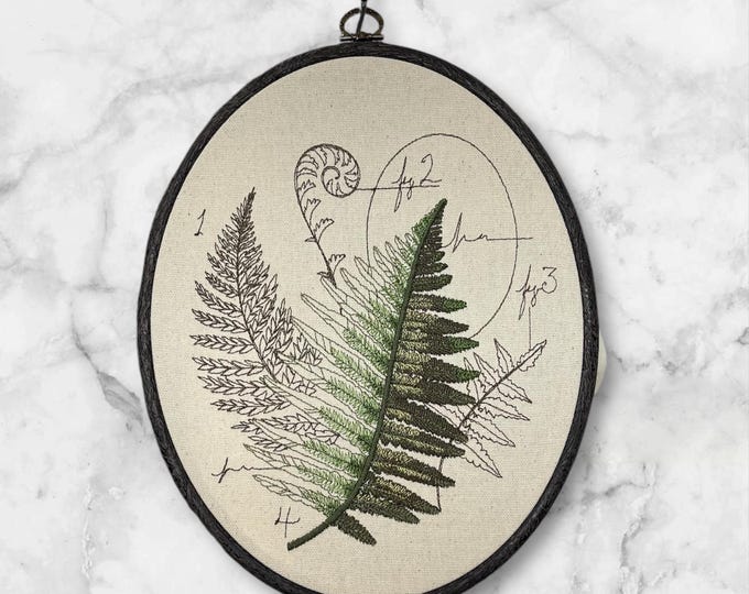 Fern Scientific Botanical Finished Embroidery Hoop Wall Hanging, Embroidered Plants, Nature Embroidery, Scientific Embroidery Art