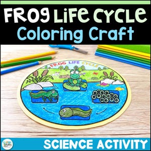 Frog Life Cycle Craft, Frog Coloring Pages Craft, 2nd Grade and 3rd Grade Art and Science Project, Science for Kids, Homeschool Science