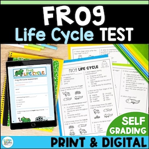 May include: A printable and digital frog life cycle assessment test for students. The test includes multiple choice questions about the stages of a frog's life cycle, including tadpole, froglet, and adult frog. The test is self-grading, making it easy for teachers to assess student understanding.