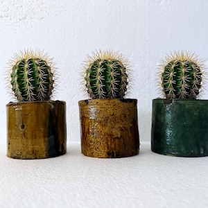 Tamegroute Cactus Pot | Moroccan Clay Planter | Green Glazed Succulent Pot