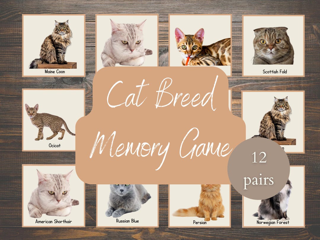 Cat Breed Memory Matching Game - Etsy