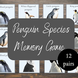 May include: A penguin species memory game with 12 pairs of cards featuring different penguin species. The cards have a blue background with a white border and a picture of a penguin on each card. The text "Penguin Species Memory Game" is written in white on a grey background.