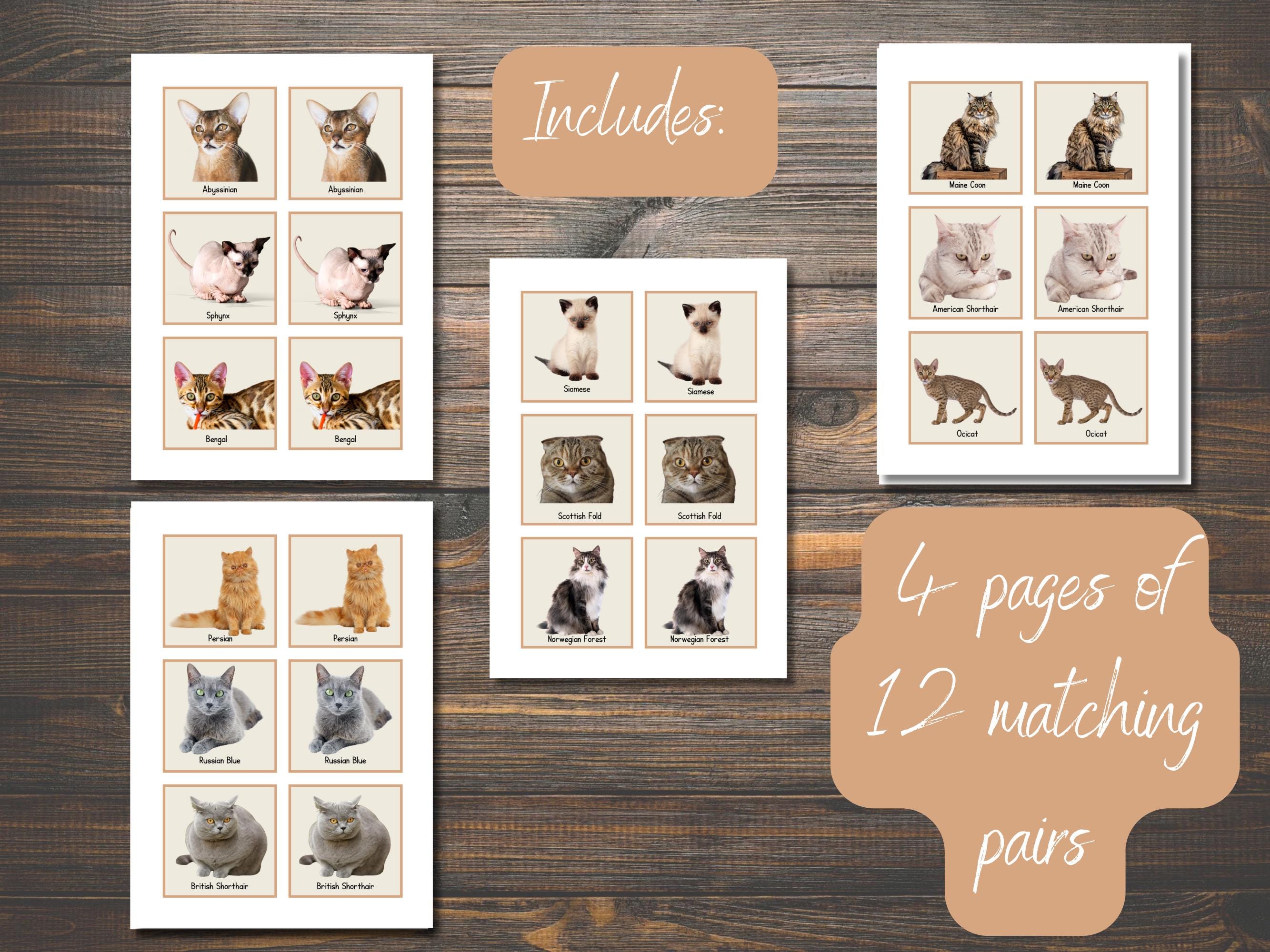 Cat Breed Memory Matching Game - Etsy