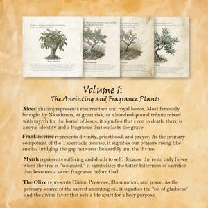 Peut inclure: Une collection de quatre impressions botaniques intitulée Volume 1 : The Anointing and Fragrance Plants. Chaque impression présente une illustration détaillée d'une plante, dont Aloes, Frankincense, Myrrh et Olive, accompagnée de texte descriptif.