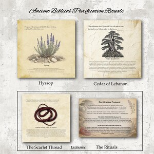 Ancient Biblical Purification Rituals Art Bundle Cedar Lebanon Hyssop Scarlet Thread Scripture Botanical Prints