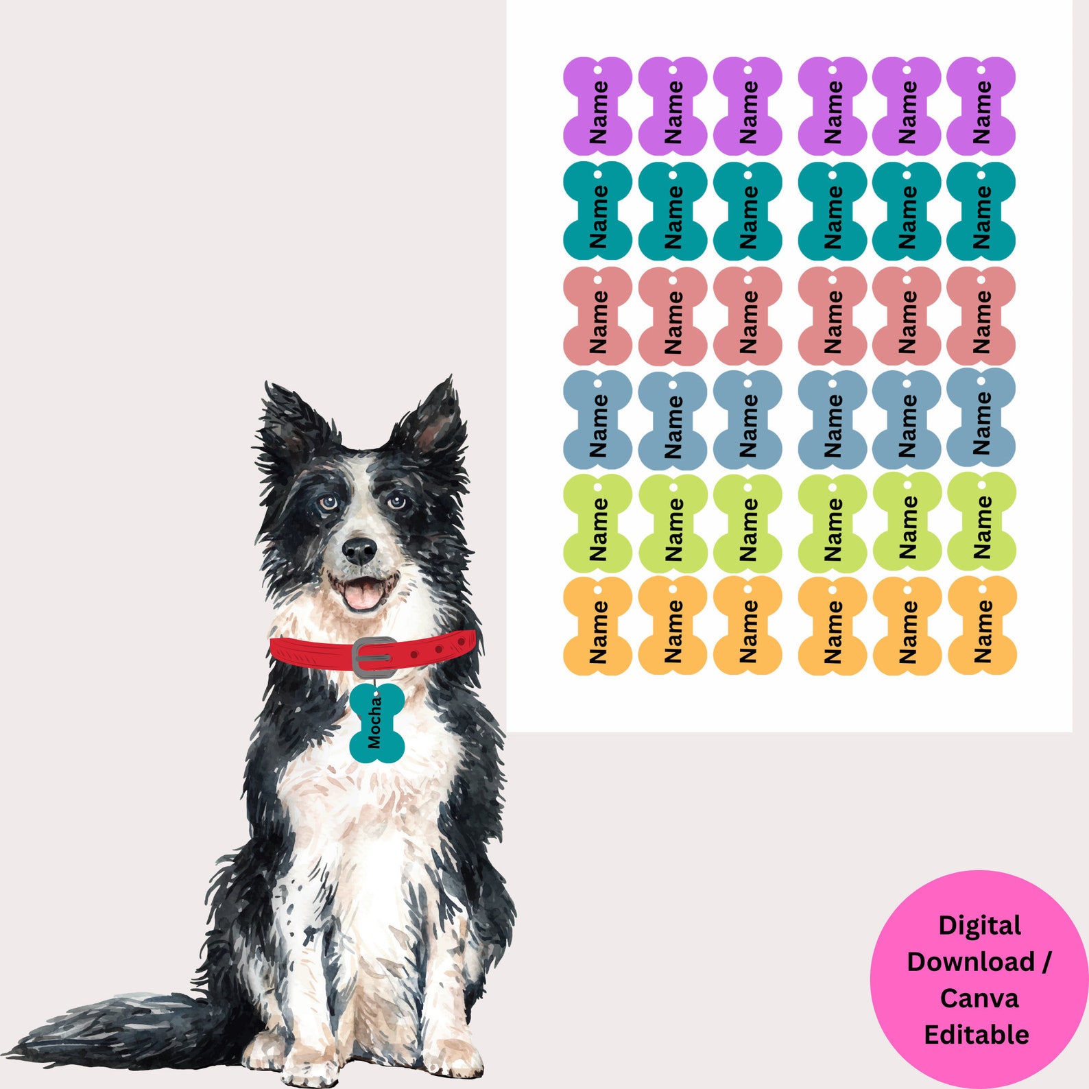 Dog ID Tag, Dog Name Tag Template, Digital Dog Tag, Custom Dog Name Tag