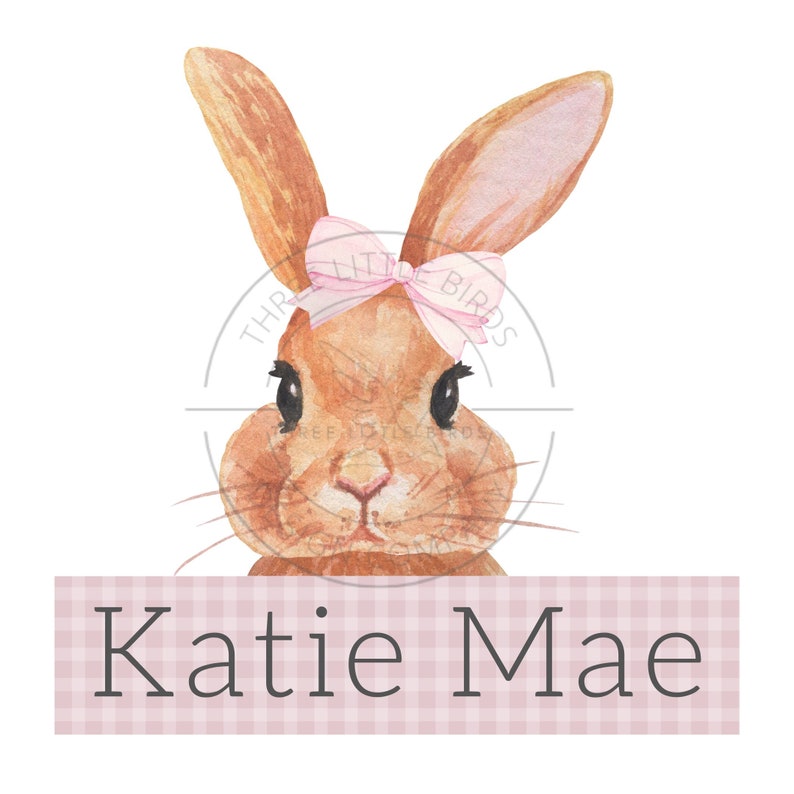 May include: A watercolor illustration of a brown bunny with a pink bow. The bunny is looking at the camera. The text "Katie Mae" is written in pink letters on a pink and white gingham background.