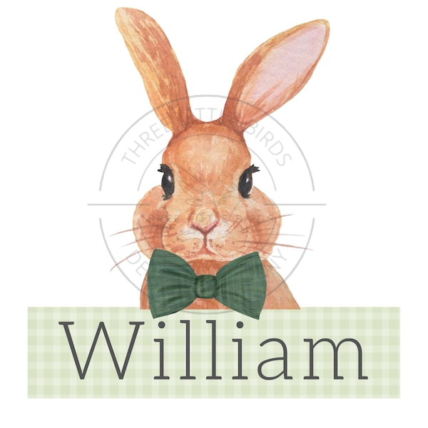 Easter Bunny Green Gingham Name PNG, sublimation, boys easter shirt, green gingham easter shirt, boy easter name shirt, digital download