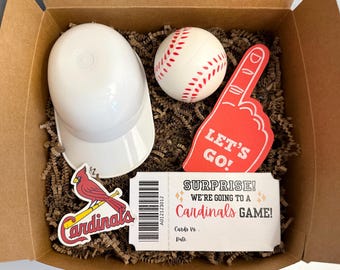 MLB Game Day Gift, Surprise Game Day Gift, MLB Gift Box, Boys Baseball Gift, MLB Surprise Gift Box