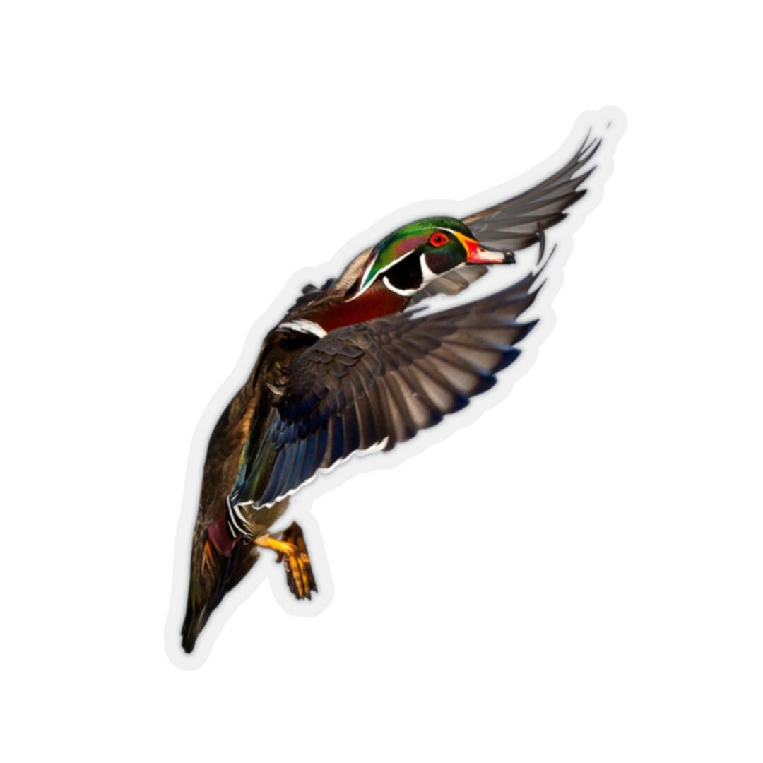 Wood Duck Sticker Etsy