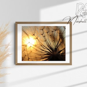 Dandelion Print, Sunset Print, Natural Tones, Relaxing and Calming, Nature, Flowers