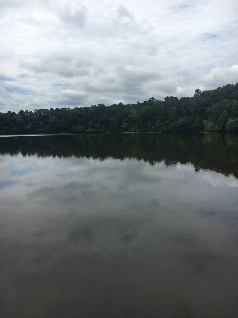 May include: A still lake with a reflection of the cloudy sky and a line of trees on the far shore.