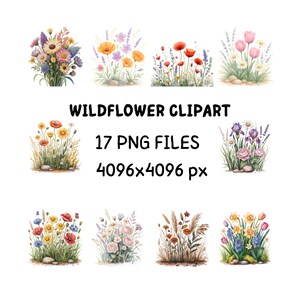 Clipart de flores silvestres PNG / 17 ilustraciones florales de alta resolución / 4096x4096 px Descarga digital / Flores botánicas de acuarela
