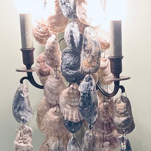 Oyster shell wall sconces