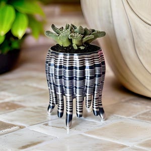 Puede incluir: Una pequeña planta suculenta en una maceta única, metálica, plateada y negra a rayas. La maceta tiene un diseño distintivo con soportes alargados en forma de patas. Las hojas verdes de la planta contrastan con la estética moderna de la maceta.