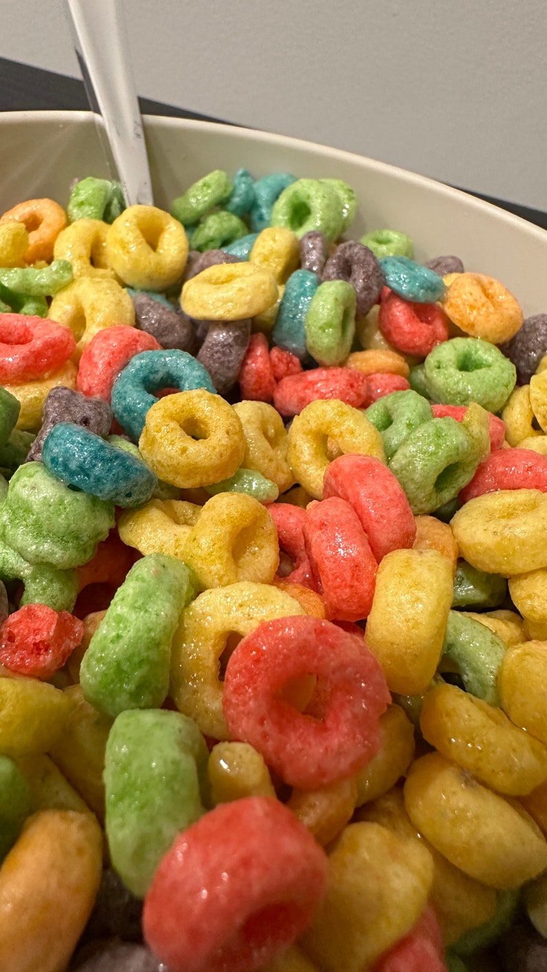 Cereal Bowl Wall Decor Beige Froot Loops Etsy