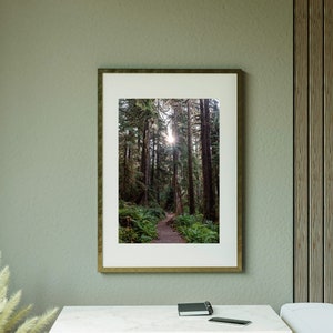 Nature DIGITAL Print, Nature Photography Print, Forest Sign Printable Wall Art, Nature Travel Poster, Urban Large Wall Art