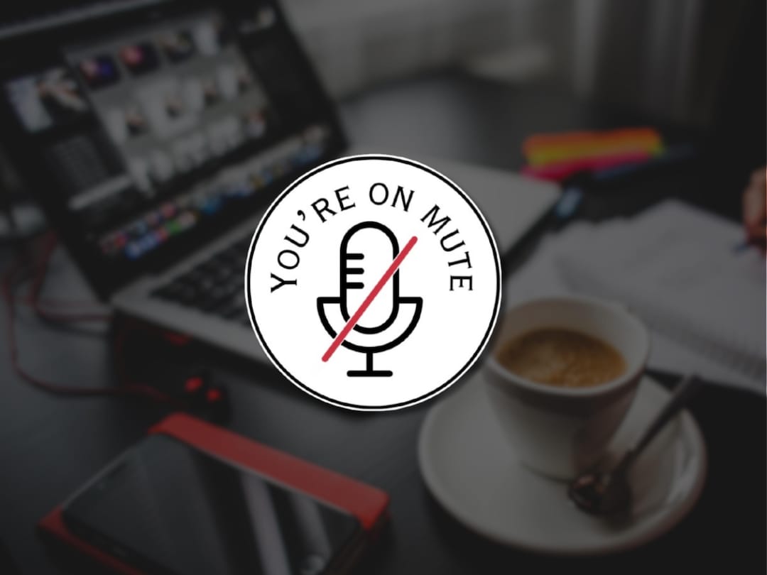 Mute Button Stickers You're on Mute Sticker: Funny Work From Home Vinyl Decal - Etsy