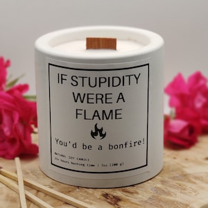 Friendship Gift Candle | Funny Gift | Funny Candle | Soy Wax Candle | If Stupidity Were A Flame  | Wood wicks
