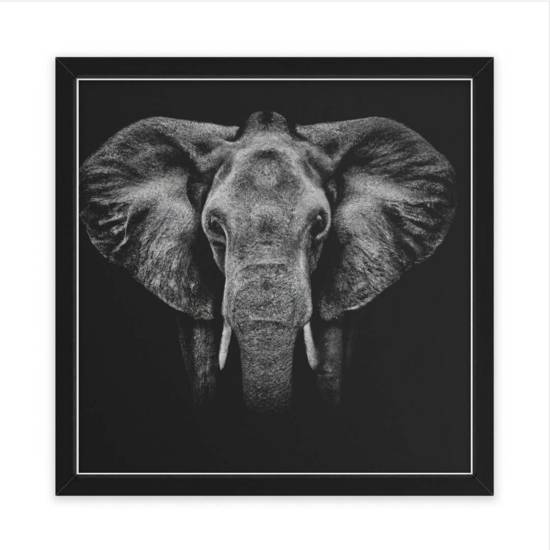 Black and White Elephant Wall Art Home Decor Etsy