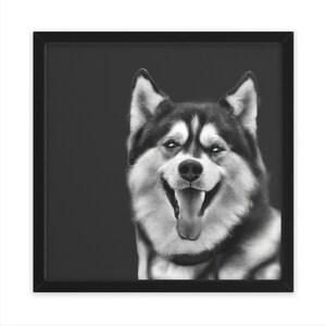 Happy Black and White Husky Dog, Wall Art, Home Decor, Poster, Stampa, Regalo divertente