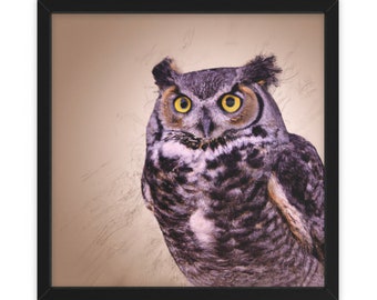 Belle chouette effraie, art mural, décoration intérieure, affiche, impression, cadeau amusant