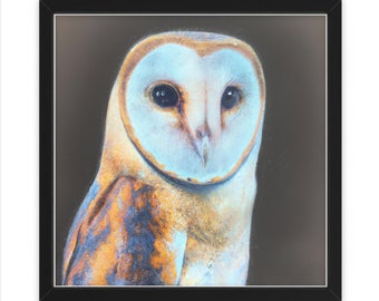 Chouette effraie peinte numériquement, art mural, décoration intérieure, affiche, impression, cadeau amusant