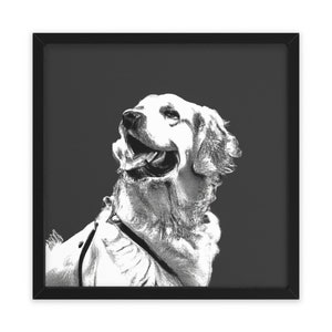 Felice cane Golden Retriever in bianco e nero, arte della parete, decorazioni per la casa, poster, stampa, regalo divertente
