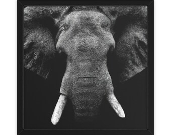 Éléphant noir et blanc détaillé, art mural, décoration intérieure, affiche, impression, cadeau amusant