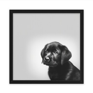 Bellissimo bianco e nero, Black Lab Dog, Wall Art, Home Decor, Poster, Stampa, Regalo divertente