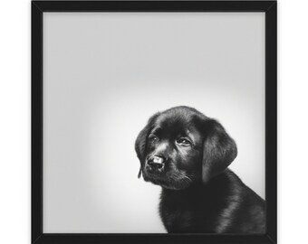 Beau noir et blanc, chien de laboratoire noir, art mural, décoration intérieure, affiche, impression, cadeau amusant