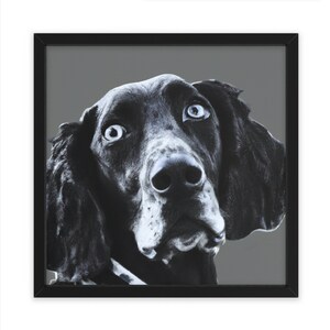Cane pointer doodle in bianco e nero dettagliato, arte della parete, decorazioni per la casa, poster, stampa, regalo divertente