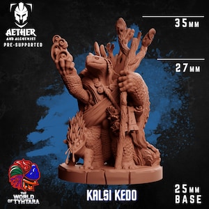 Kalsi Kedo, Tortle Druid - 8k Resin Miniature - Aether & Alchemist