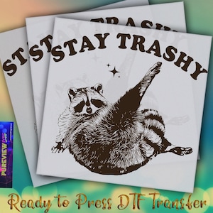 Stay Trashy Funny Raccoon Ready To Press Heat Transfer, Trashy Racoon DTF Transfer, Raccon Dtf Transfers, DTF Prints