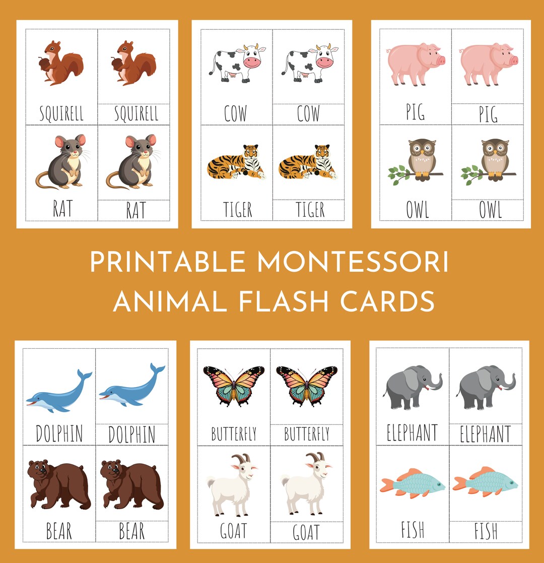 Printable Animal Flash Cards for Kids - Homeschool Educational Toys for ...