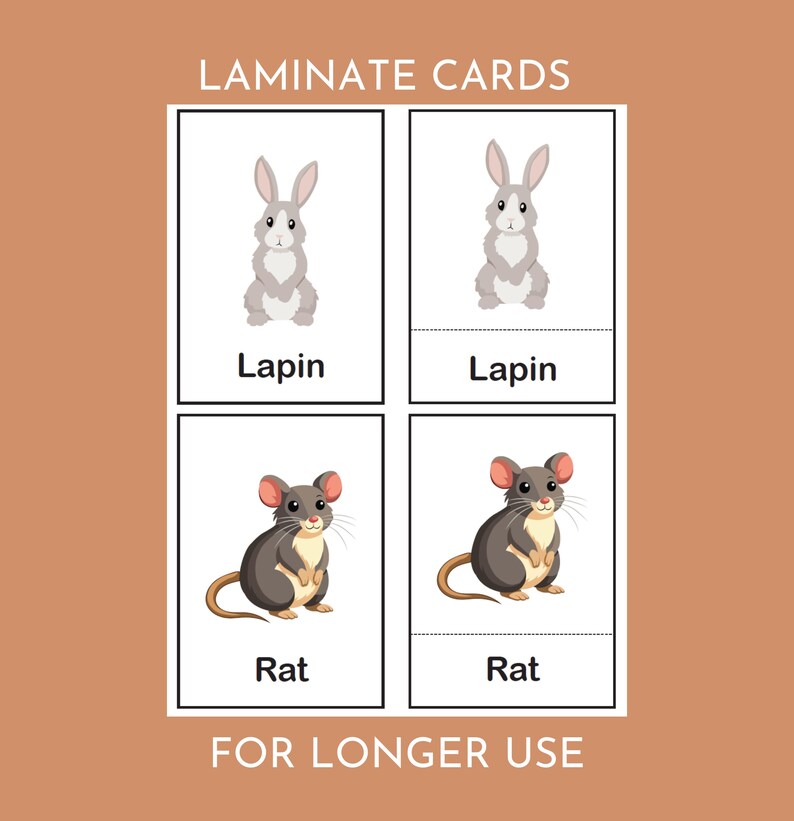 French Animal Flash Cards for Kids - Montessori Animals Matching Cards ...