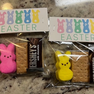 S'mores Easter Peeps Treat Bags, School Easter Party Favors, Easter Party Bags, S'mores Party Favor Bags, S'mores Peeps Party Favor