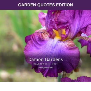 May include: A vibrant purple bearded iris flower with ruffled petals and a yellow center. The image features the text GARDEN QUOTES EDITION at the top, and Damon Gardens BEARDED IRIS 2027 damongardens.com overlaid on the flower petals.