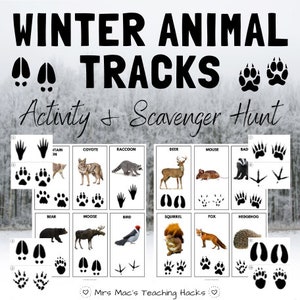 Winter Animal Tracks Activity & Scavenger Hunt