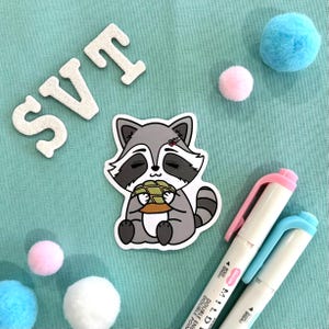 May include: A sticker featuring a cartoon raccoon holding a turtle shell. The raccoon is gray with black eyes and a black nose. The turtle shell is green and brown. The sticker is on a light blue background.