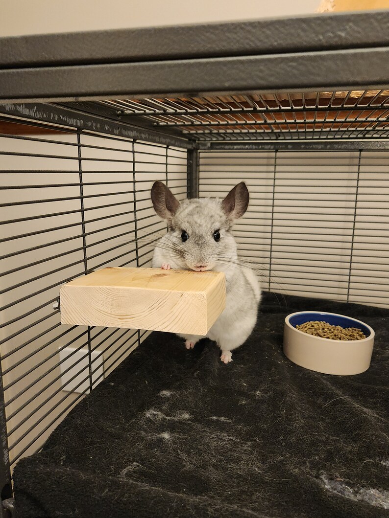 Chinchilla Heavy Duty Wooden Ledges, Kiln Dried Pine, Cage Assesories