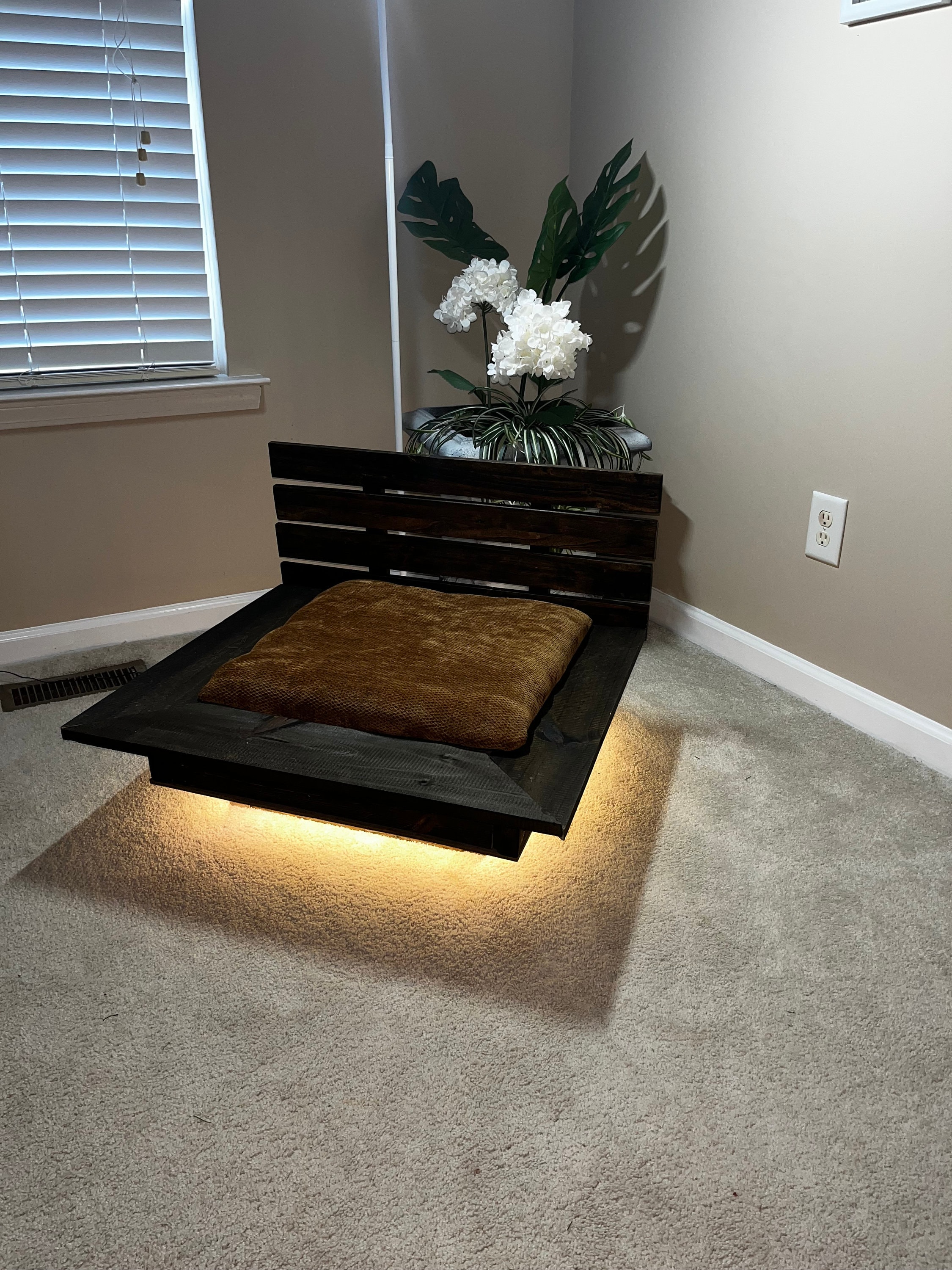 Image showcasing Floating/platform Style Dog Bed - Etsy