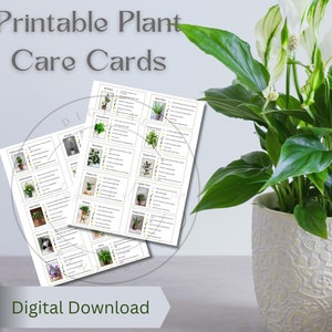 Tarjetas para el cuidado de plantas de interior: etiquetas para plantas imprimibles, guía informativa sobre plantas, descarga digital, tarjetas para el cuidado de plantas de interior