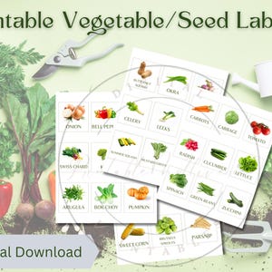 Printable Vegetable/Seed Labels | DIY Garden Markers | Seed Packet Labels | Vegetable Markers| Vegetable tags | Seed Tags | Instant Download