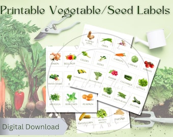 Printable Vegetable/Seed Labels | DIY Garden Markers | Seed Packet Labels | Vegetable Markers| Vegetable tags | Seed Tags | Instant Download